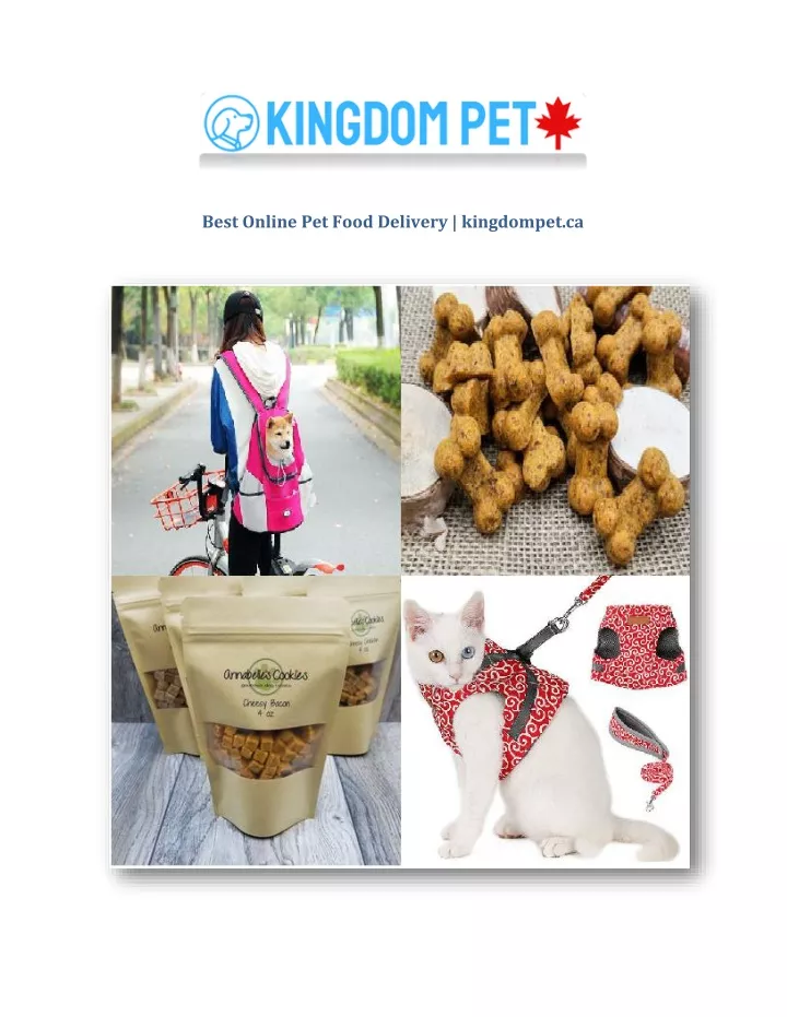 ppt-best-online-pet-food-delivery-kingdompet-ca-powerpoint