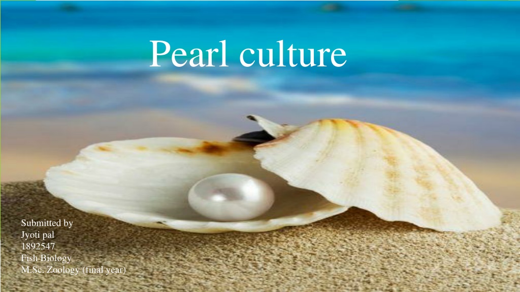 write an essay on pearl culture