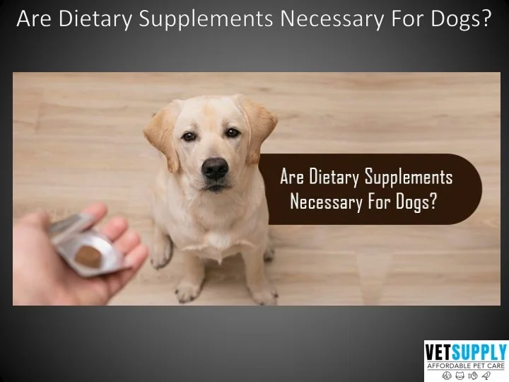 PPT Are Dietary Supplements Necessary For Dogs VetSupply ppt-are-dietary-supplements-necessary-for-dogs-vetsupply
