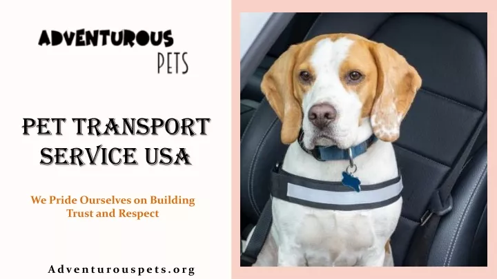 PPT - Pet Transport Service USA PowerPoint Presentation, free download -  ID:11206485