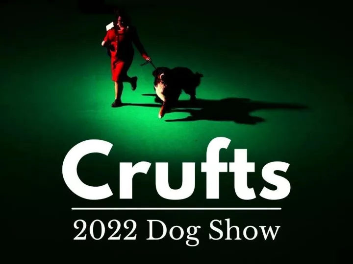 crufts dog show n.