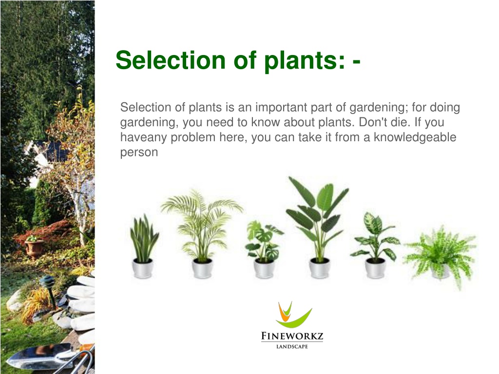 PPT - 5 Tips For Garden Maintenance PowerPoint Presentation, free ...