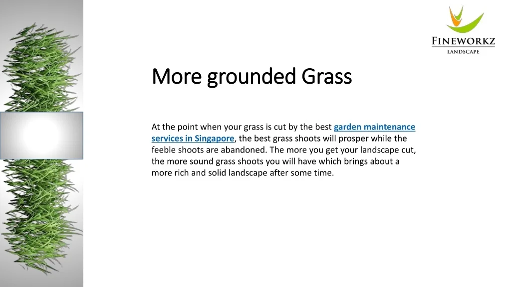 PPT Benefits Of Mowing Your Lawn With Professional Grass Cutting