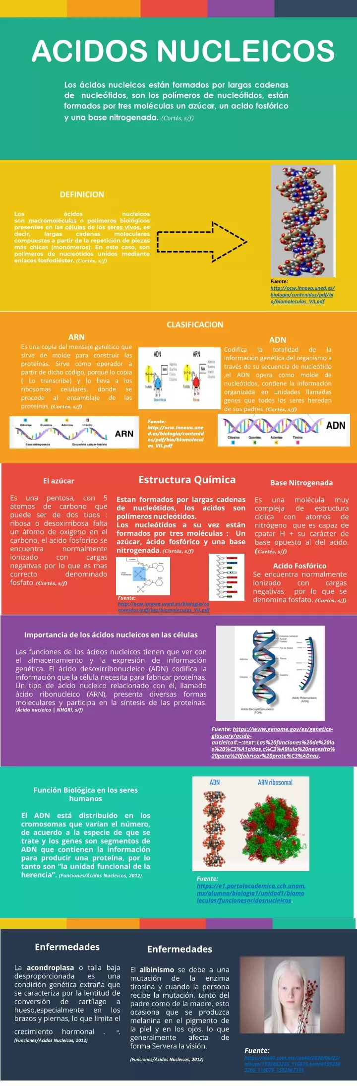 Ppt Infografia Acidos Nucleicos Powerpoint Presentation Free