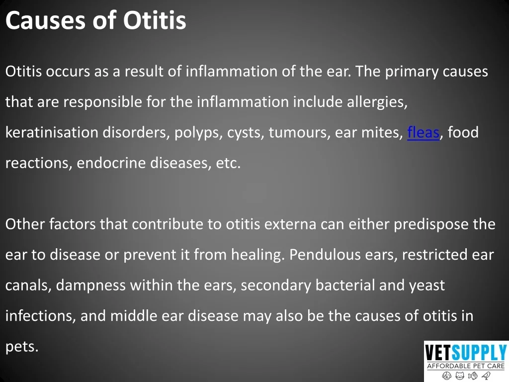 PPT Otitis (Ear Infection) in Cats and Dogs — A Detailed Guide