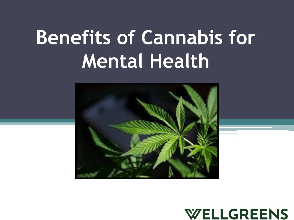 PPT - Benefits of Cannabis for Mental Health PowerPoint Presentation ...