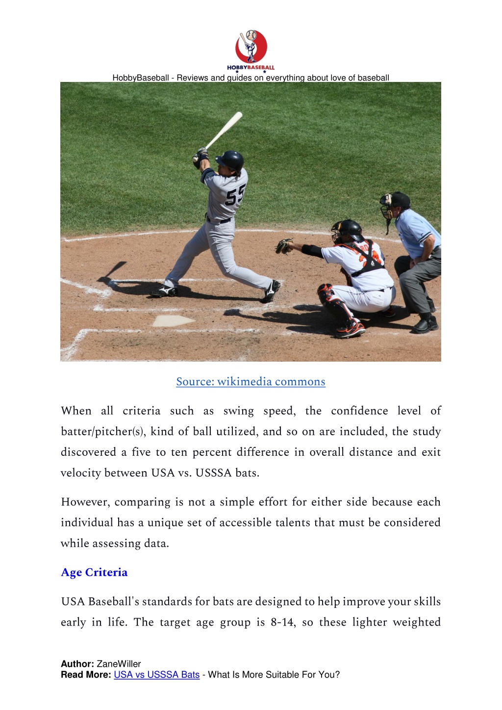 PPT - USA vs USSSA Bats - What Is More Suitable For You? PowerPoint ...