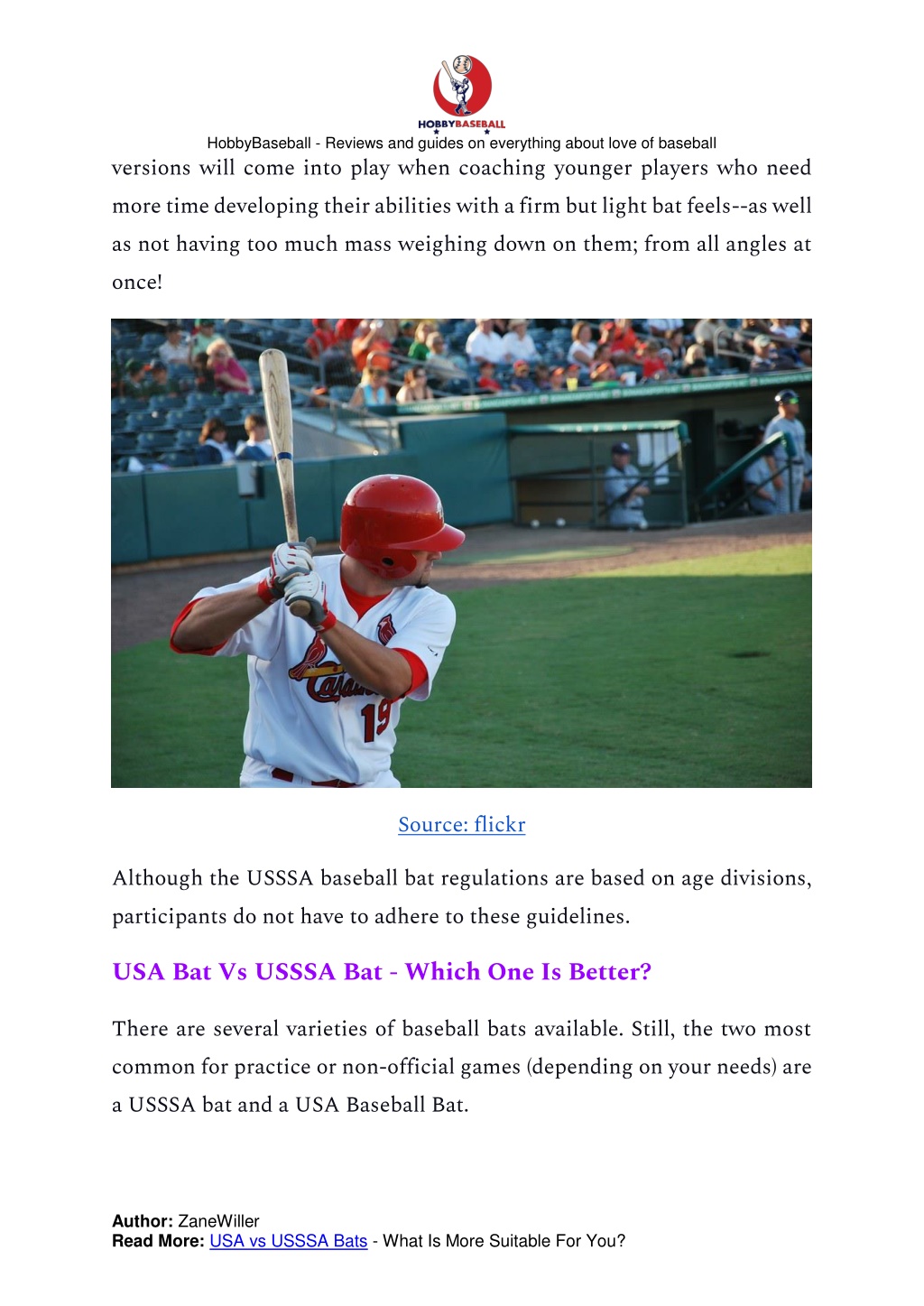 PPT - USA vs USSSA Bats - What Is More Suitable For You? PowerPoint ...