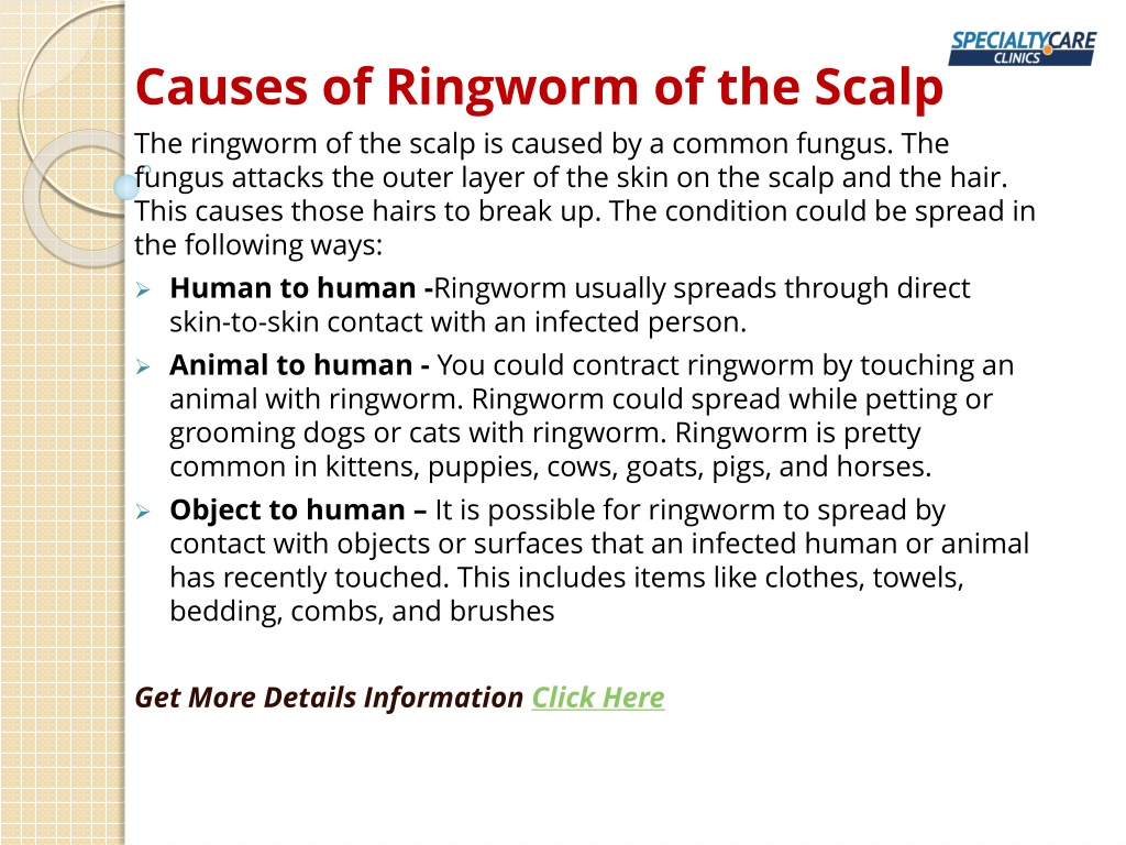 PPT - Ringworm of the Scalp - Symptoms, Causes, and Treatment ...