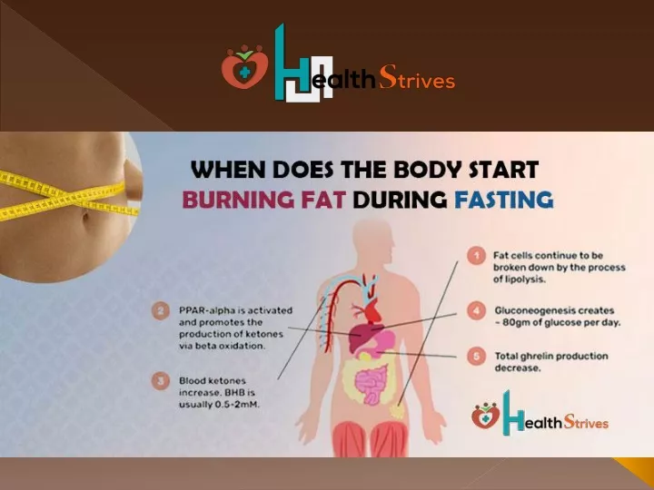 ppt-when-does-the-body-start-burning-fat-during-fasting-powerpoint