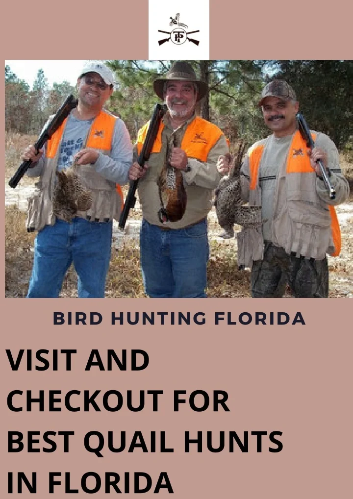 PPT Get The Best Quail Hunts In Florida PowerPoint Presentation, free