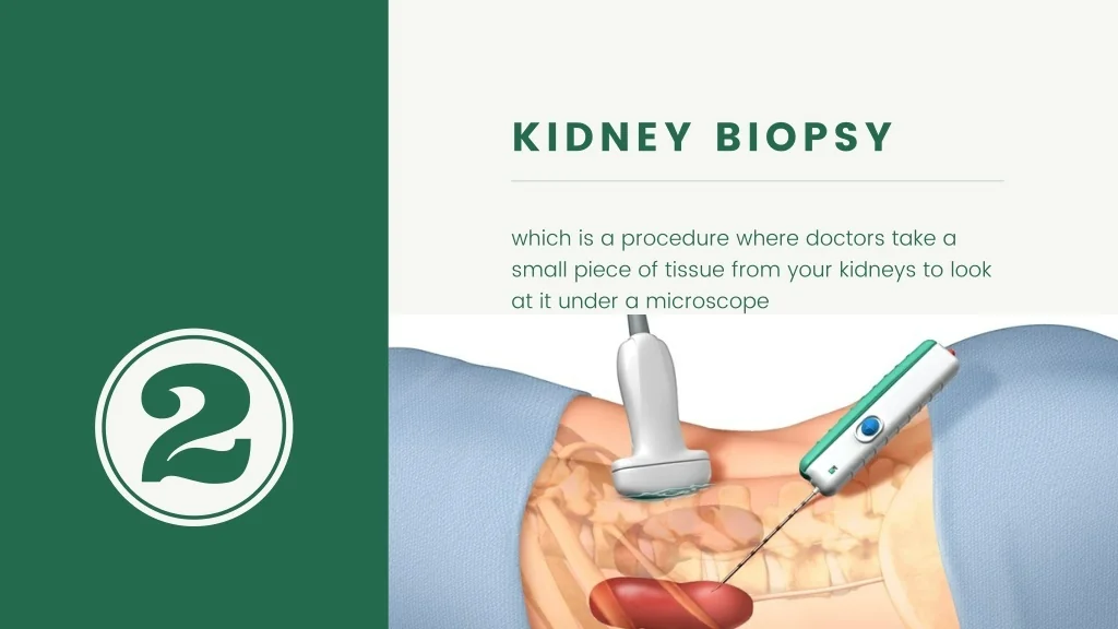 PPT Kidney Disease Symptoms, Causes & Treatment in Kolkata