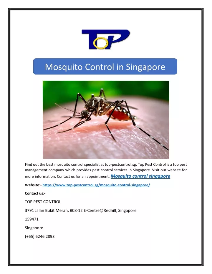 PPT Mosquito Control in Singapore PowerPoint Presentation, free