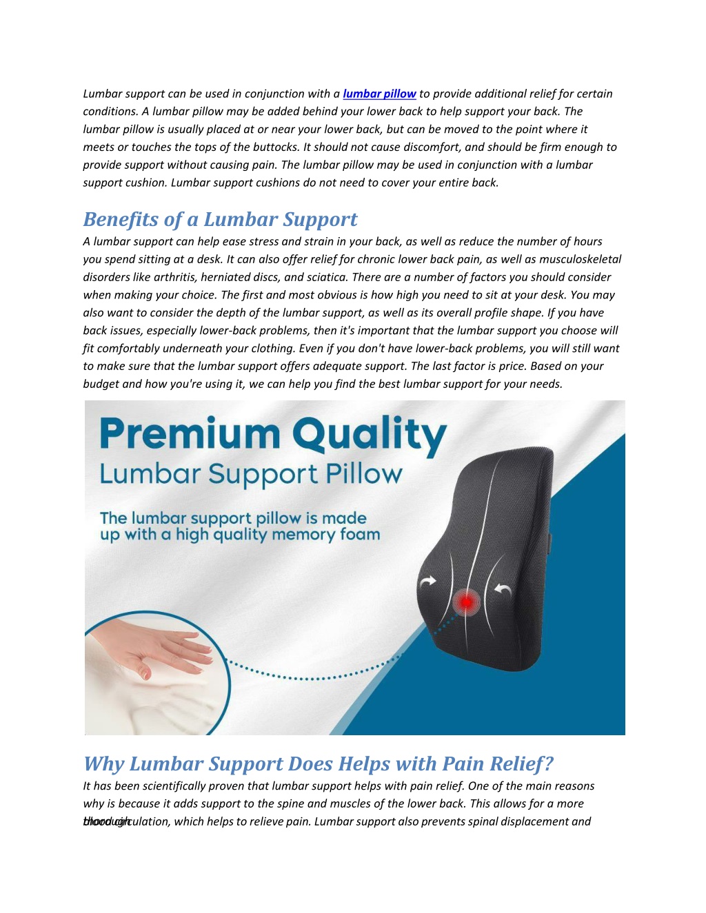 Lumbar Support Can Be Used In Conjunction With L 