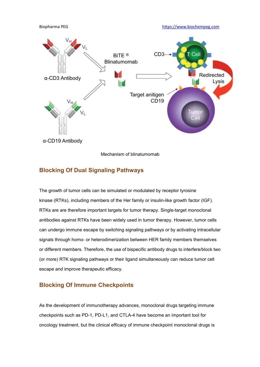 PPT - Bispecific Antibodies - Current Status and Prospects PowerPoint ...