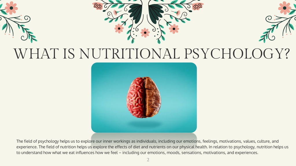 diet-and-human-performance-research-studies-nutritional-psychology