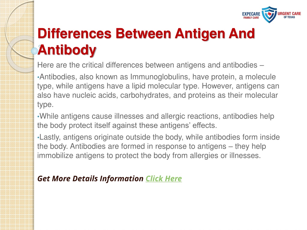 Ppt Difference Between Antigen And Antibody Powerpoint Presentation Free Download Id11279520 6663