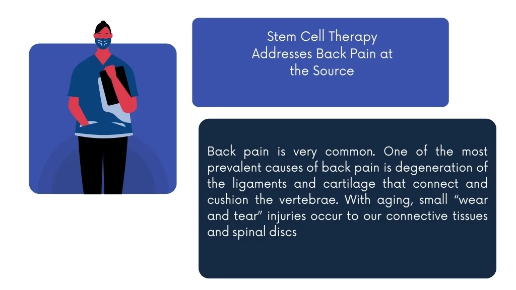 PPT - Stem Cell Therapy for Back Pain | Dr. David Greene Arizona ...