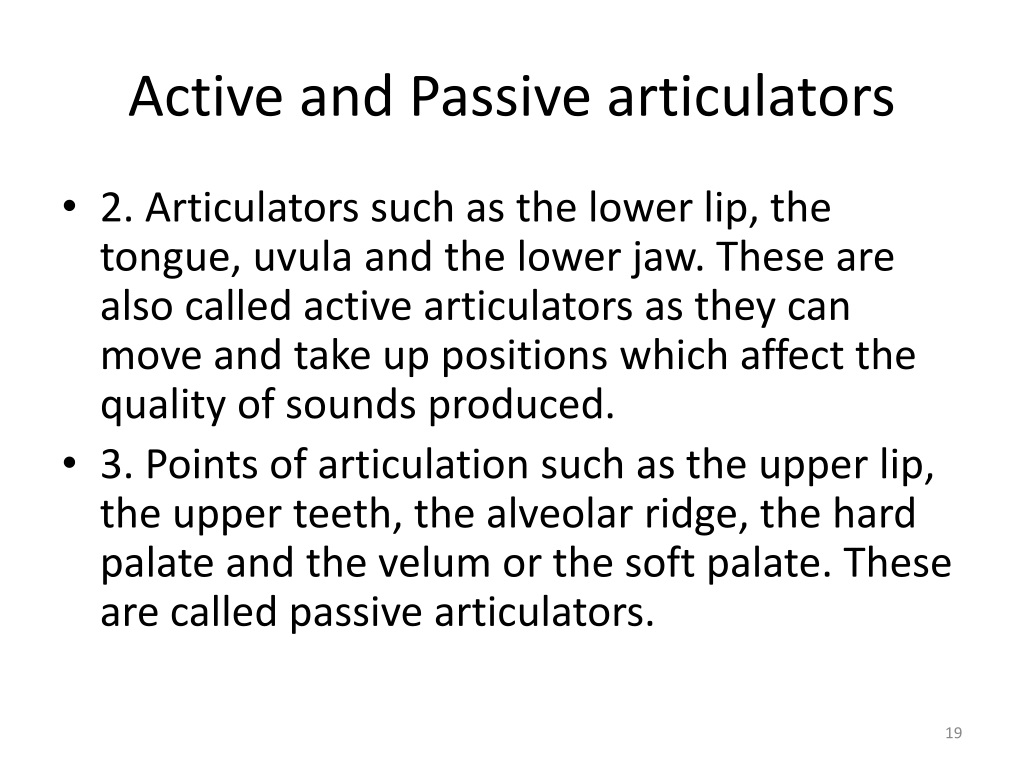 organs of speech active and passive