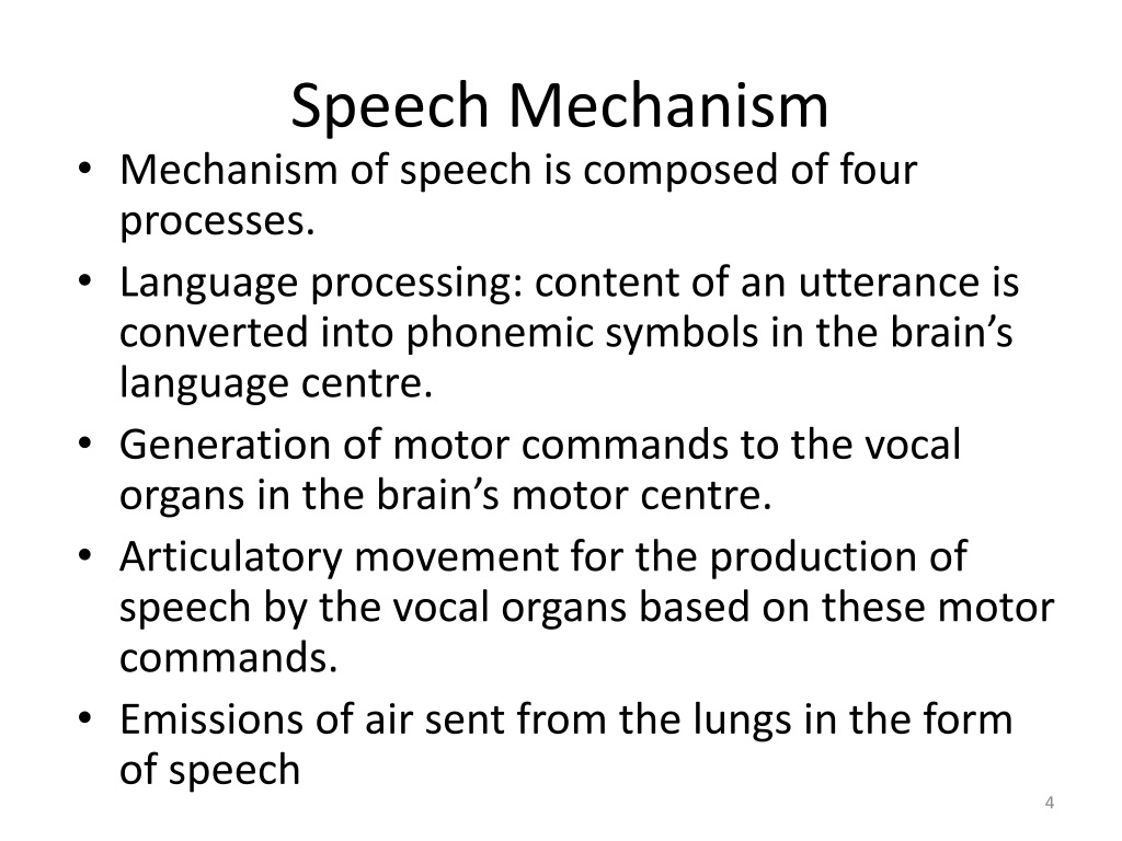 speech mechanism