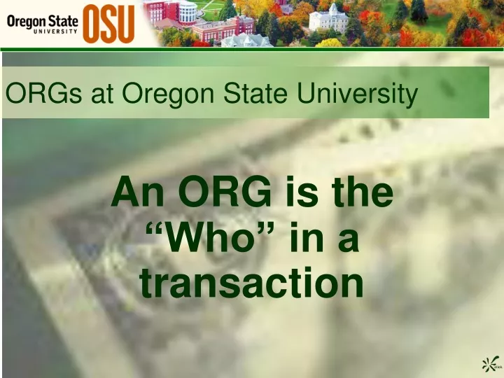 orgs at oregon state university n.