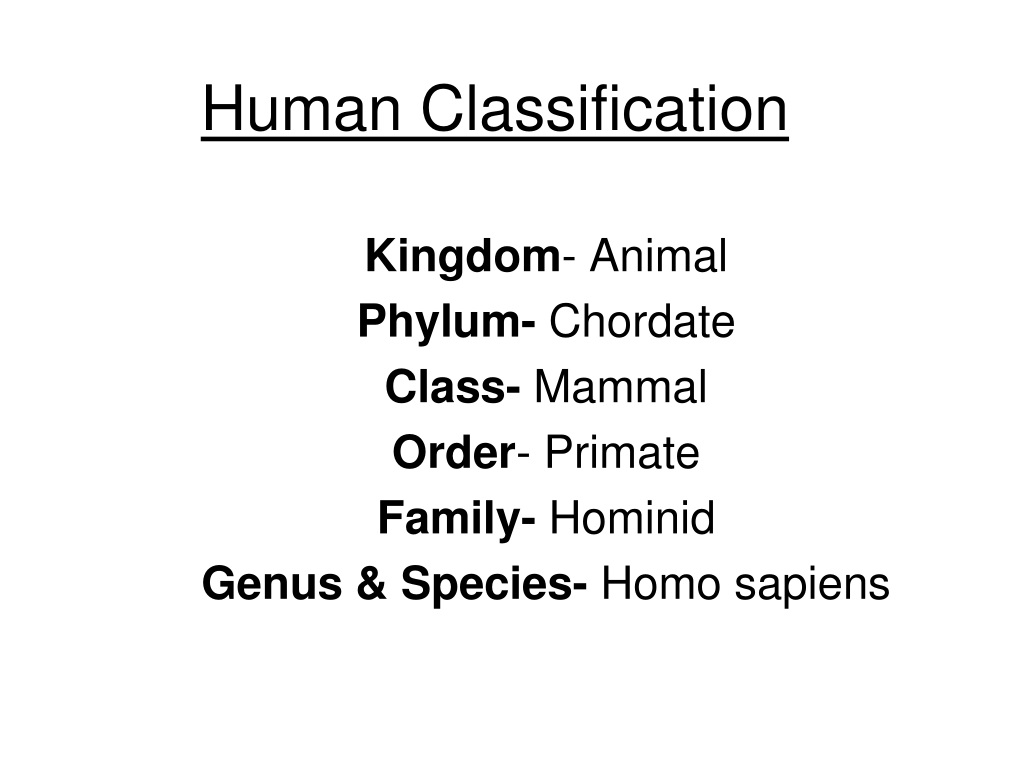 ppt-human-classification-powerpoint-presentation-free-download-id