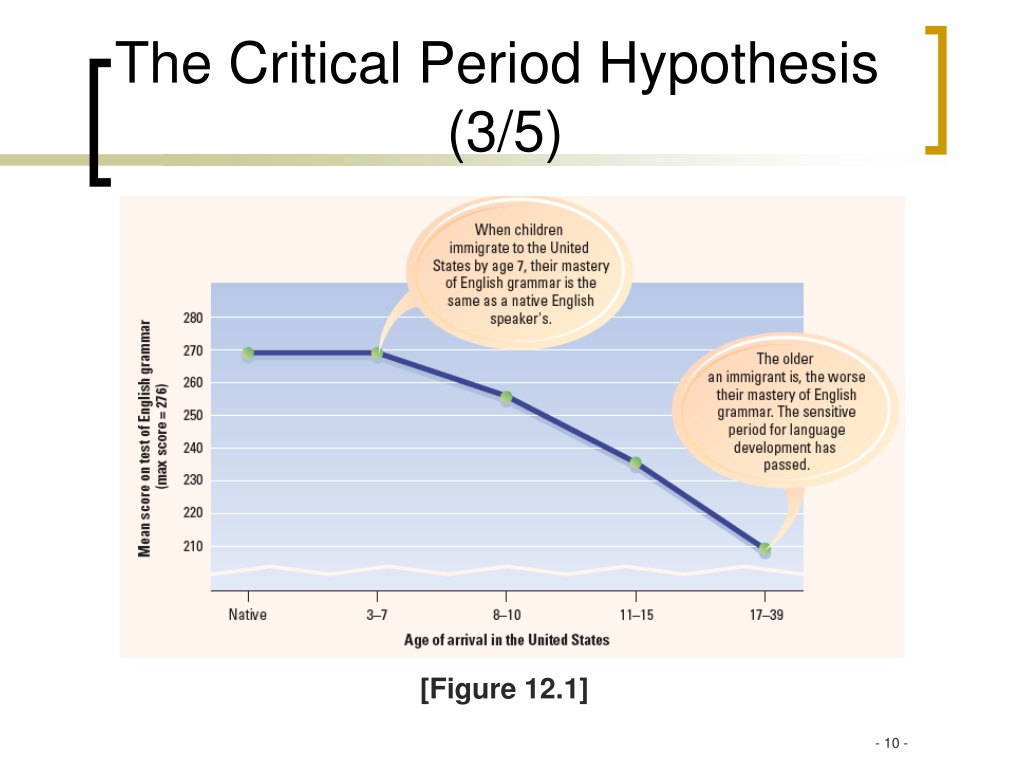 critical period hypothesis components