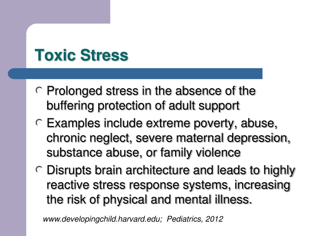 PPT Toxic Stress And Early Brain Development PowerPoint Presentation 