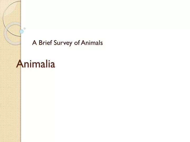 Ppt Animalia Powerpoint Presentation Free Download Id9284073