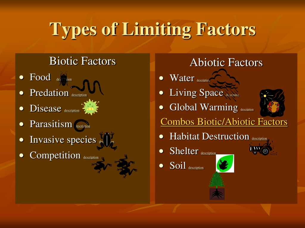 PPT Limiting Factors in an Ecosystem PowerPoint Presentation, free