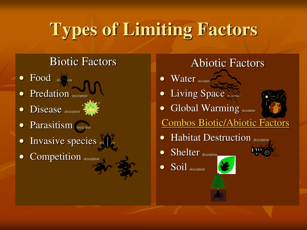 PPT Limiting Factors In An Ecosystem PowerPoint Presentation Free 