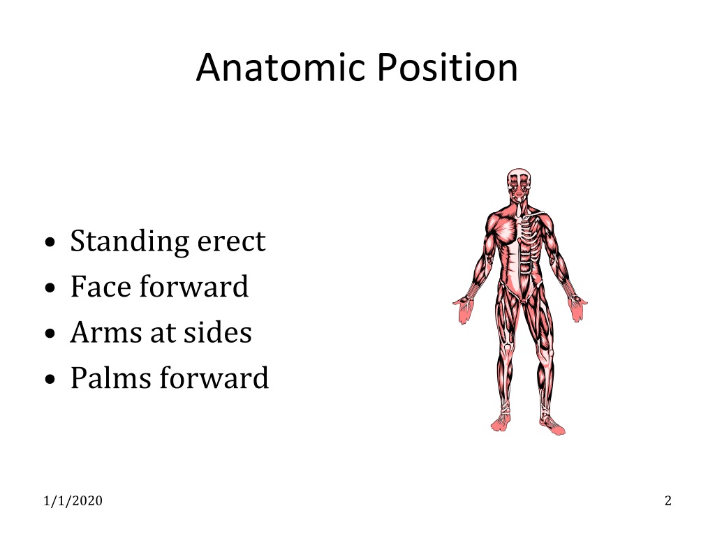 PPT - Part I - Terminology PowerPoint Presentation, free download - ID ...