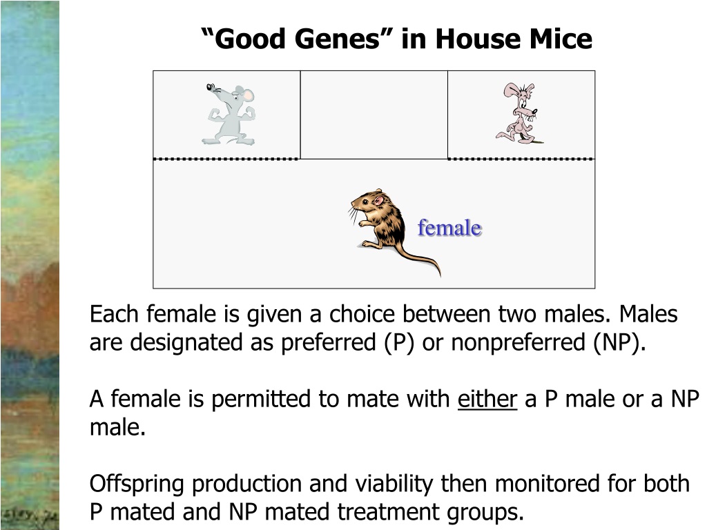 good genes hypothesis easy definition