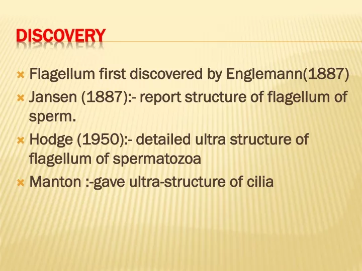 discovery n.