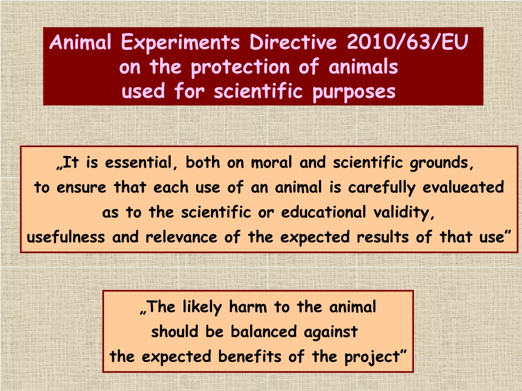 experiments on animals should be allowed