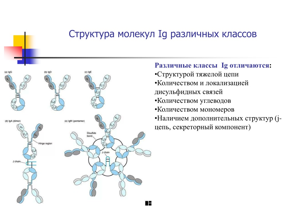 Дополните структуру