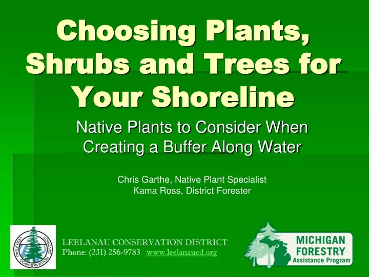 choosing plants shrubs and trees for your shoreline n.
