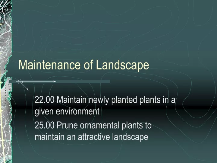 maintenance of landscape n.