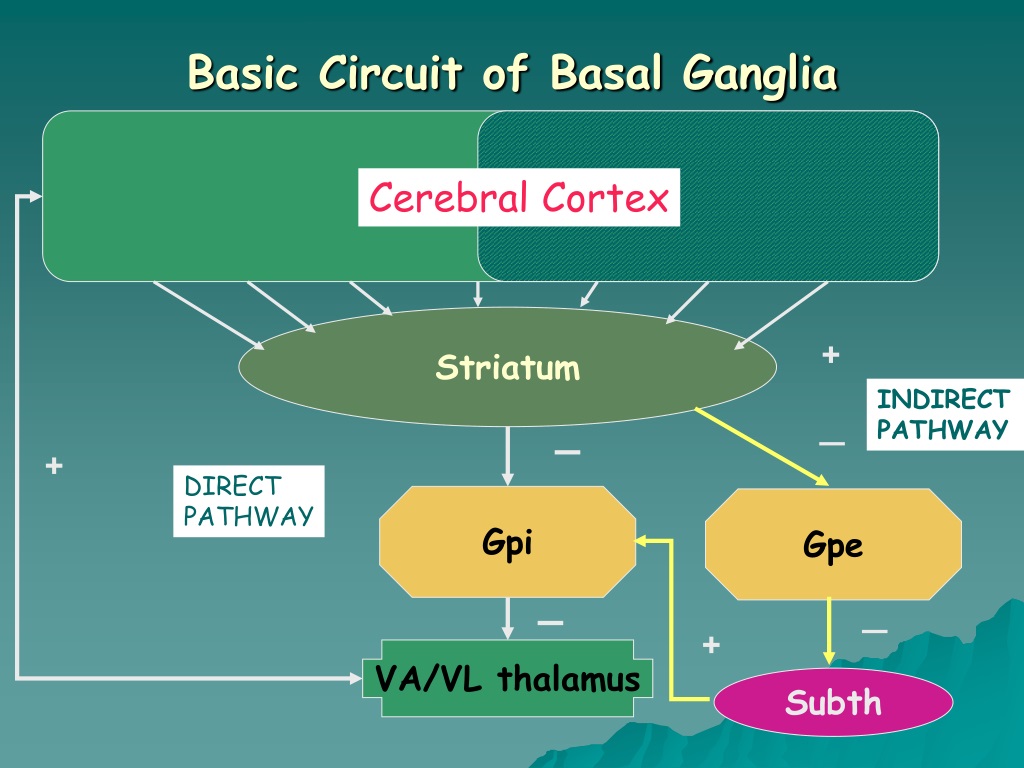 Ppt Basal Ganglia Motor Pathways Powerpoint Presentation Free Download Id