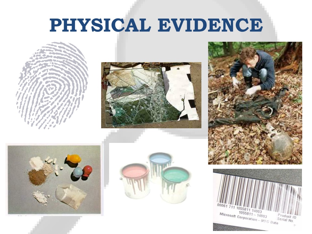 explain-the-different-types-of-physical-evidence-tripp-has-gordon