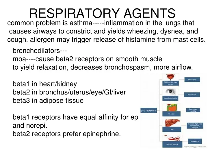 Ppt - Respiratory Agents Powerpoint Presentation, Free Download - Id 