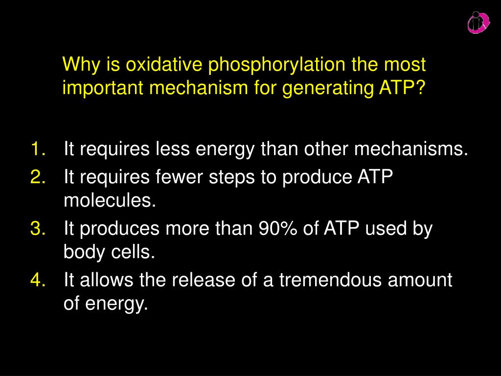 PPT - Examples of catabolism include all of the following except