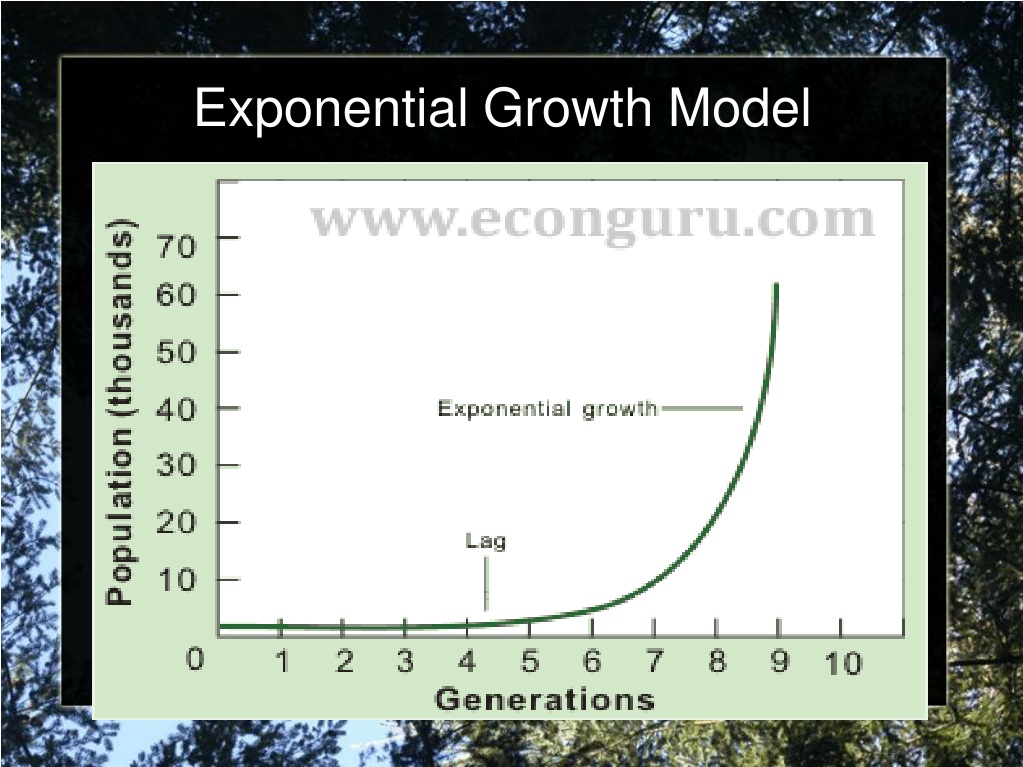 Exponential Growth Model Examples