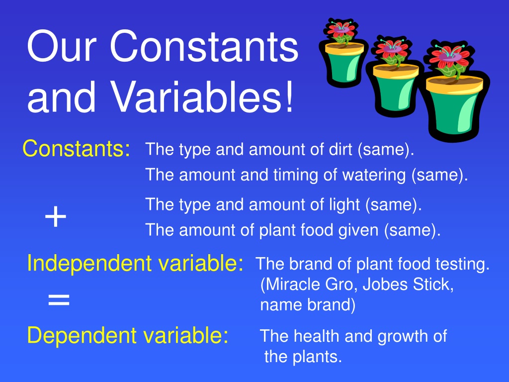 ppt-dependent-and-independent-variables-explained-powerpoint