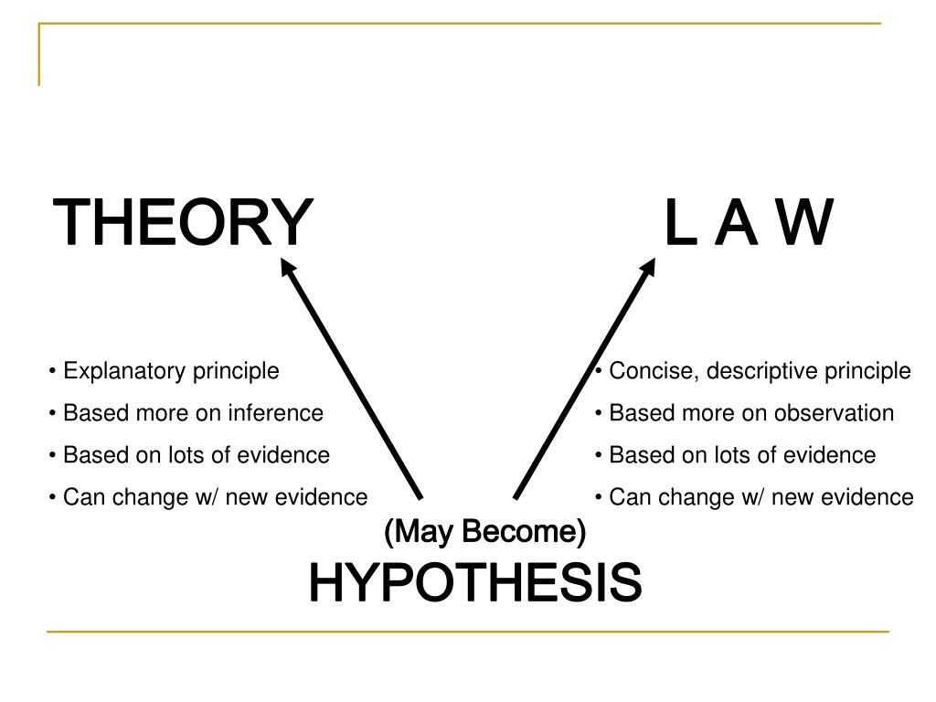 hypothesis theory and law definitions