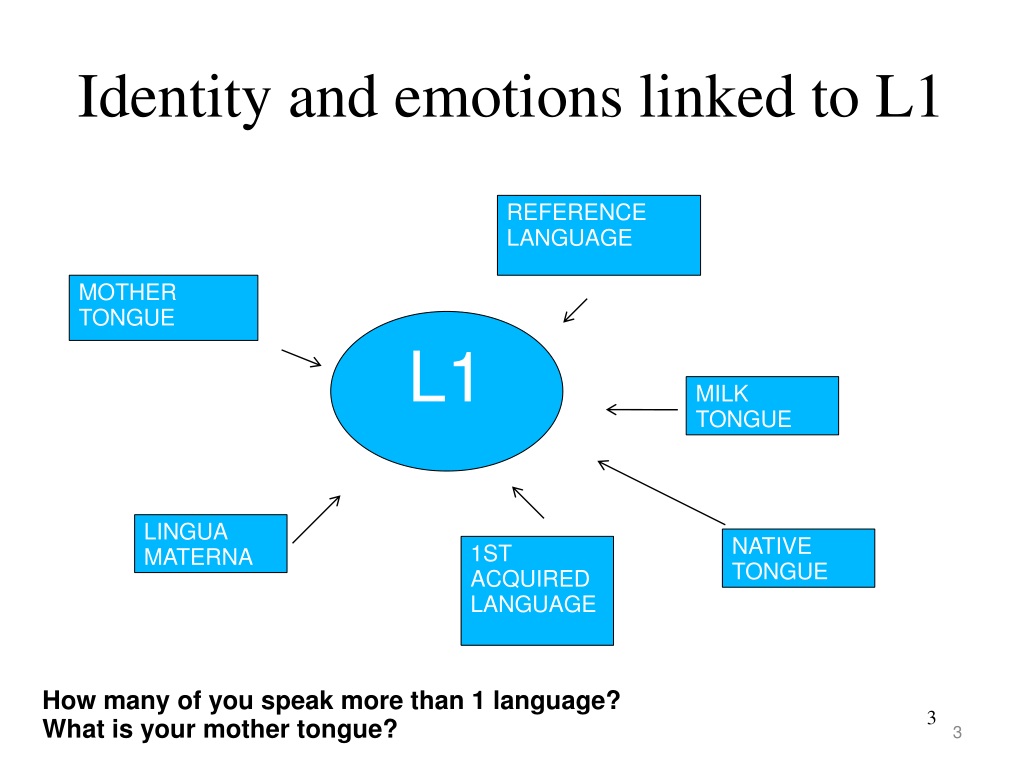 References - Language and Identity