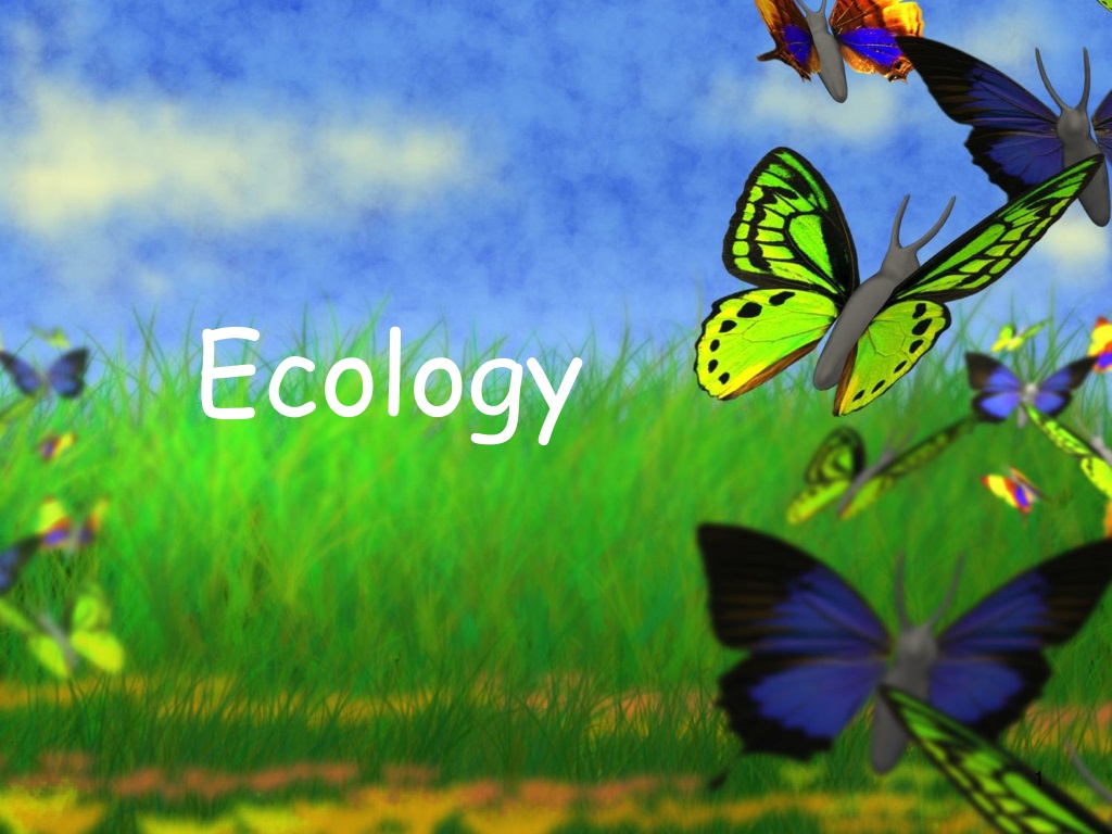 ppt presentation on ecology