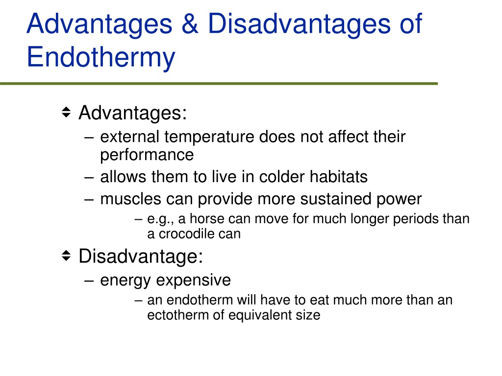 advantages-of-being-an-ectotherm-what-are-the-advantages-and