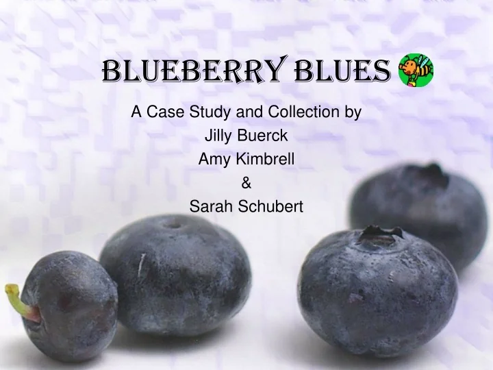 PPT Blueberry Blues PowerPoint Presentation, free download ID9308976