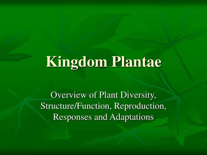 PPT - Kingdom Plantae PowerPoint Presentation, Free Download - ID:9311252